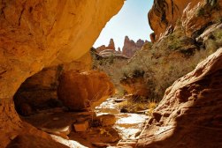 68036_629647469561_1977461099_n